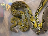 IMG_0196.jpg
