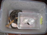 Steaming box.jpg