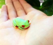 20171204_101325.jpg