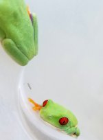 20171119_154410.jpg