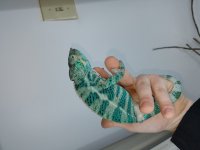 20180418_092916.jpg