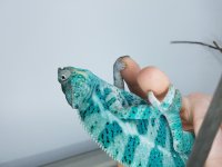 20180418_092939.jpg