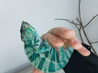 20180418_092850.jpg