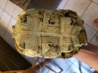20180608_104138.jpg