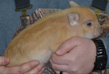 20180119_101420.jpg