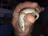 20180515_145955.jpg