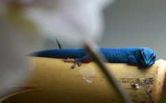 DSC_0073.jpg