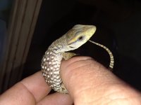 20180515_145948.jpg