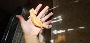 20180713_163954.jpg