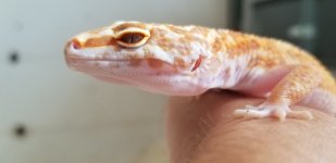 20180713_164205.jpg