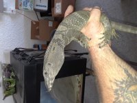 20180426_122848.jpg