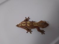 20180323_123142.jpg
