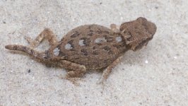 female1 (4).jpg