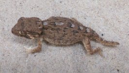 female11.jpg