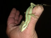 20180226_003346.jpg