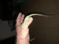 20180226_003332.jpg