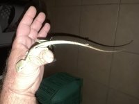 20180226_003325.jpg