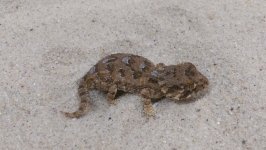 female2.jpg