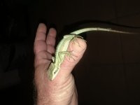 20180226_003317.jpg