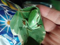 20180502_165242.jpg