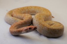 IMG_3973.jpg