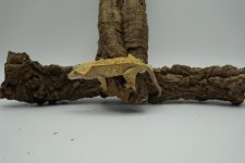 thumbnail-6.jpg