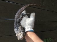 2018-03-14 11.36.48.jpg