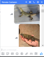 Capture7.PNG