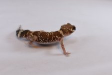 DSC_0280.jpg