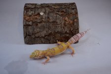 DSC_0287.jpg