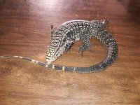 20180209_163416.jpg