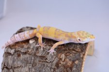 DSC_0292.jpg