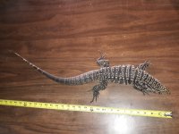 20180209_163527.jpg