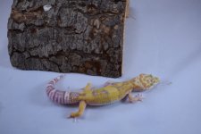DSC_0297.jpg