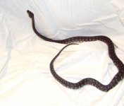 DSCF5888.jpg