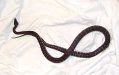 DSCF5890.jpg