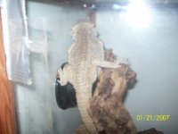 100_2794.jpg