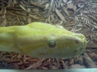 20110113200718.jpg