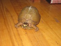 IMG_0952[1].jpg