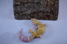 DSC_0298.jpg