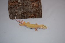 DSC_0353.jpg