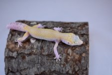 DSC_0304.jpg