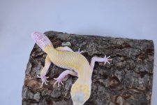 DSC_0305.jpg