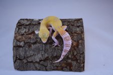 DSC_0310.jpg