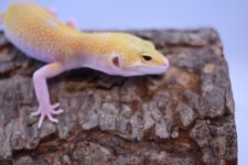 DSC_0320.jpg