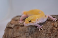 DSC_0327.jpg