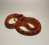 IMG_0988.jpg