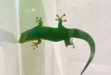 IMG_E1201.jpg
