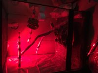 FEEAE84F-C03A-44EA-BDFB-36990EE873E8.jpg