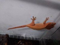 20180406_111329.jpg